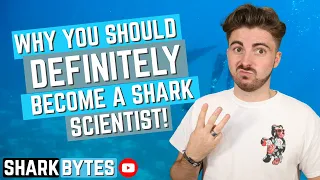 3 Things I LOVE about being a Shark Scientist!