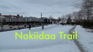 Nokiidaa Trail / 2021-01-24