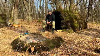 Building Complete Survival Shelter: Moss Roof, Bushcraft, Winter Camping