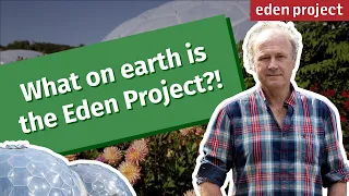 The Eden Project: A Sustainable Paradise in the Heart of Cornwall