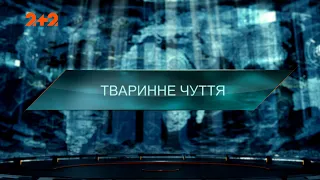 Тваринне чуття — Загублений світ. 5 сезон 18 випуск