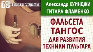 Испанская гитара фламенко. Урок 19 (Не Дидюля) Развиваем технику ПУЛЬГАР