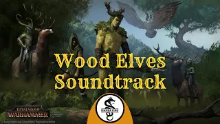 Wood Elves Theme - Total War Warhammer 2 Soundtrack