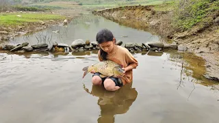 Fishing skills, the orphan girl went across the stream and caught a huge sea monster carp