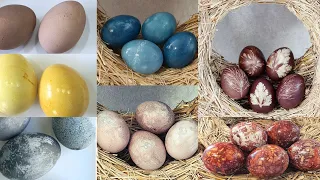 7 Ways: How to Color Eggs for Easter WITHOUT CHEMISTRY? The most beautiful EASTER EGGS without dyes!