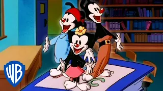 Animaniacs | The Last Day of School | Classic Cartoon | WB Kids