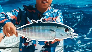 Catch, Clean, Cook BLACK FIN TUNA with Don Dingman!