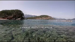 YAVRU BALIK SÜRÜLERİ / ANTALYA - ALACASU - CENNET KOYU