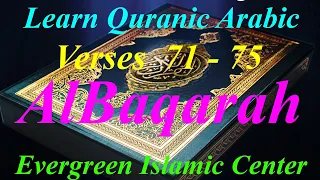 Understanding Quran in Arabic Surah 002 AlBaqarah Aayats 71-75