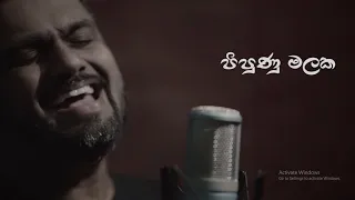 Pipuna Malaka පිපුණු මලක - Chandika Lilan (Cover song)