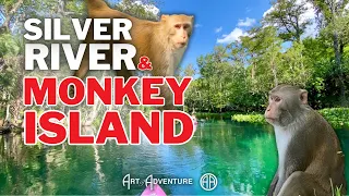 Monkey Fever on the Silver River: 3 Big Things