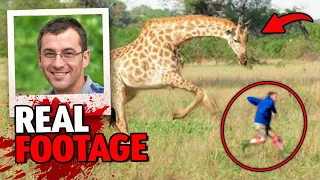 These 3 Giraffe Attacks Are The Most SAVAGE Of All Time!