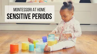 MONTESSORI AT HOME: Sensitive Periods