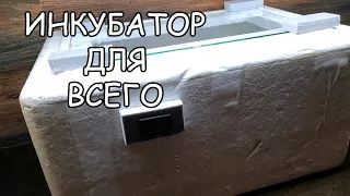 КАК СДЕЛАТЬ ПРОСТЕЙШИЙ ИНКУБАТОР ДЛЯ ЯИЦ / DIY homemade  egg incubator