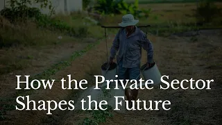 Unlocking Climate Resilience: How the Private Sector Shapes the Future