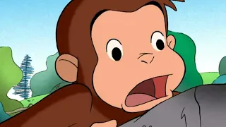 Rock Well | Curious George | Video for kids | WildBrain Zoo