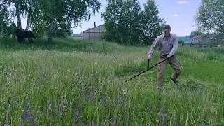 Сенокос. Ручная коса 75см. Scything.