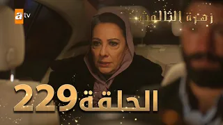 مسلسل زهرة الثالوث - الحلقة 229 | مدبلج | الموسم الثاني