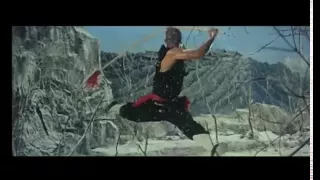 The Shaolin Temple - Jet Li training scene