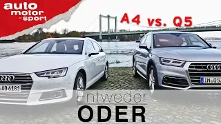 Audi Q5 vs. Audi A4 Avant | Entweder ODER | (Vergleich/Review) auto motor und sport