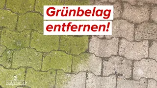 Grünbelag entfernen von Steinen und Co | Unser FAZIT zum Mellerud Algen- & Grünbelagentferner