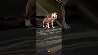 The Sah Panthera tai lung from kung fu panda and using AR (Jurassic World alive)