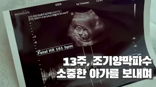 소중한 나의 아가를 보내며 | 13주 양막파수 중기유산