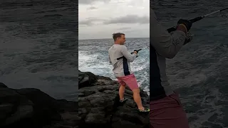 ROCK SHORE - FIGHT #8 - 2024FWU - INSHORE EXPERIENCE FISHING CAPE VERDE SAL ISLAND #shorts