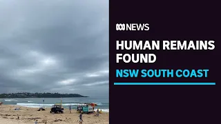 Human remains wash up on NSW's South Coast, days after Melissa Caddick's foot was found | ABC News