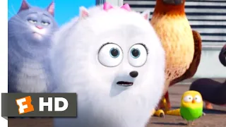 The Secret Life of Pets - Taking A Shortcut Scene | Fandango Family