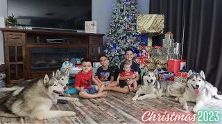 CHRISTMAS 2023! | LIFE WITH 4 HUSKIES & 4 SONS | OPENING PRESENTS | VLOG!