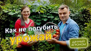 Делай ТАКъ и будешь с урожаем