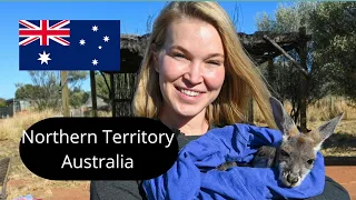 Kangaroo Sanctuary Alice Springs | Top things to do in the Red Centre