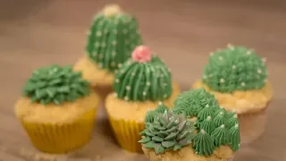 Cactus Cupcakes