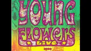 Young Flowers_ Live (1969) full album