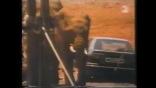 Sergio Leone - Commercial: Renault 19 "The Elephants" (1989)