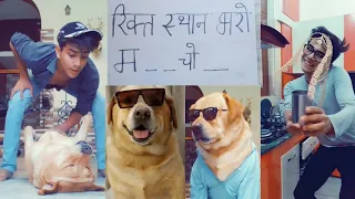 funny videos of dog part-4😂 | comedy dog | tiktok videos | viral | Anant rastogi