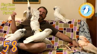 How to Play with a Bird | Ep.59: Playtime with your Parrot | Cockatude: Cockatoos with attitude