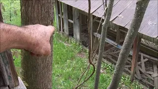 Exploring An Old Abandoned House And Farm