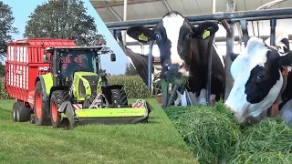 Claas zero-grazing