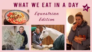 What my horses and i EAT IN A DAY I vegane Rezepte I Futterplan Sport Pferd, Mini Shetty & Rentner