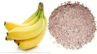 How to make a banana peel fertiliser   (A Complete Step by Step Guide)