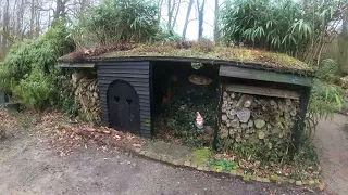 Eerste Lente Prikkels in het Stealduinse Bos, Natuur komt uit zijn winterslaap