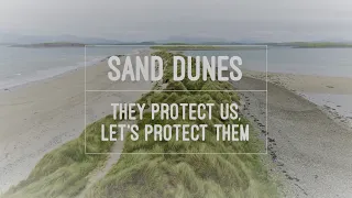4. Sand Dunes: How can we protect them