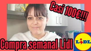 🔴COMPRA SEMANAL EN LIDL/ ME GASTO CASI 100€🤦‍♀️