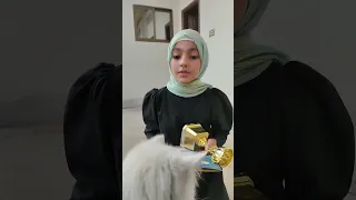 Behind the scene funny cats Bloopers 😻 youqaria