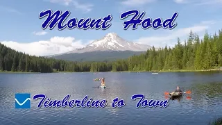 Mountain Biking Mount Hood, OR - Timberline to Town