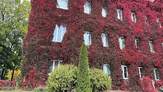 4K ГРОДНО , BELARUS, GRODNO STREET WALKING IN AUTUMN 🍂🇧🇾 😍 ПРОГУЛКА ПО ГРОДНО