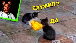 ЗАСМЕЯЛСЯ - ПОДПИСАЛСЯ!! ЛУЧШИЕ ПРИКОЛЫ ОТ БАЛТИМОР I 484 СЕКУНД СМЕХА