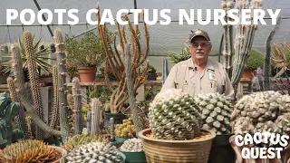 POOTS CACTUS NURSERY - 40 YEARS OF CACTUS AND SUCCULENTS